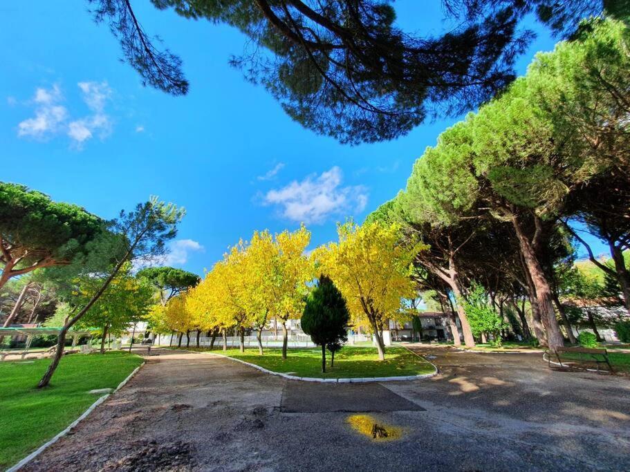 Vila La Casa De La Ribera Del Cega Viana de Cega Exteriér fotografie