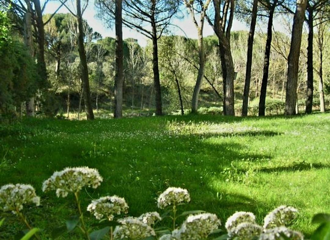 Vila La Casa De La Ribera Del Cega Viana de Cega Exteriér fotografie